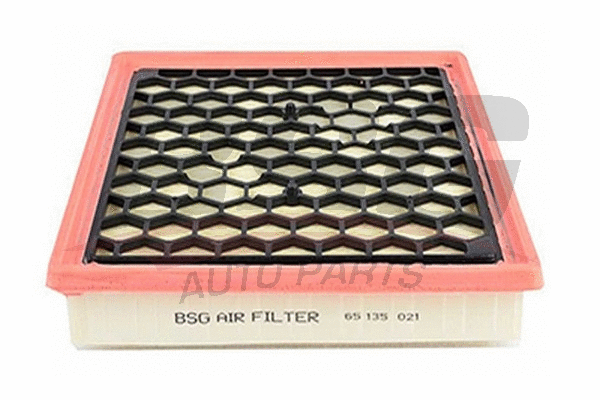 BSG 65-135-021 BSG Воздушный фильтр (фото 1)