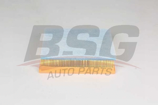 BSG 75-135-021 BSG Воздушный фильтр (фото 1)