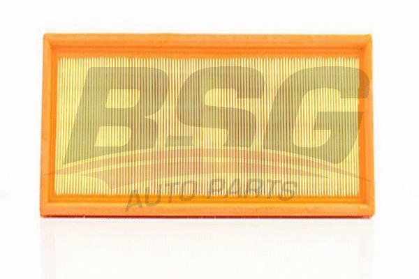 BSG 90-135-005 BSG Воздушный фильтр (фото 1)