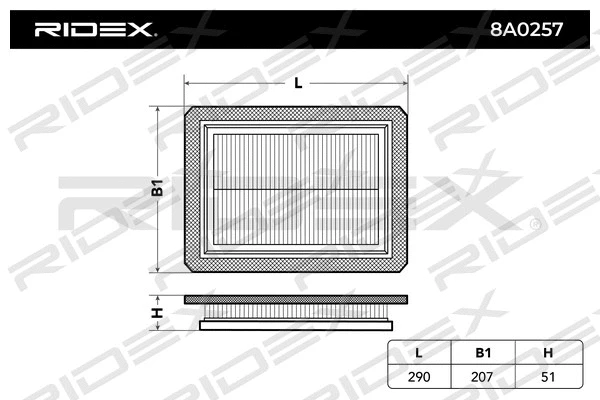 8A0257 RIDEX Воздушный фильтр (фото 1)