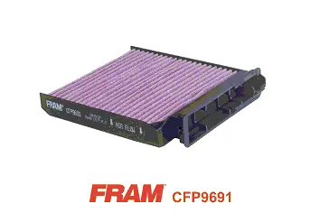 CFP9691 FRAM Фильтр, воздух во внутренном пространстве (фото 1)