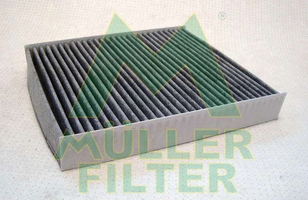 FK252 MULLER FILTER Фильтр, воздух во внутренном пространстве (фото 1)