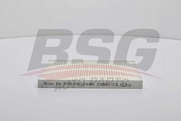 BSG 30-145-008 BSG Фильтр, воздух во внутренном пространстве (фото 1)