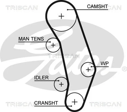 8647 29077 TRISCAN Комплект ремня ГРМ (фото 2)