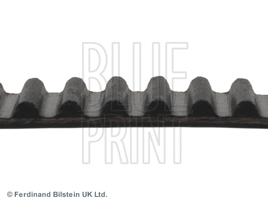ADC47520 BLUE PRINT Зубчатый ремень (фото 2)
