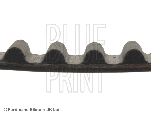 ADC47525 BLUE PRINT Зубчатый ремень (фото 2)