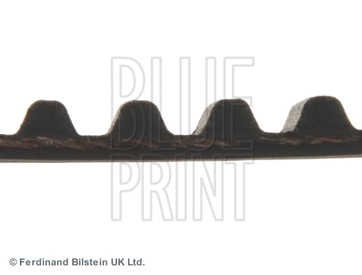 ADM57507 BLUE PRINT Зубчатый ремень (фото 2)