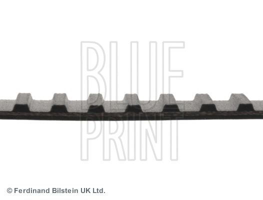 ADN17511 BLUE PRINT Зубчатый ремень (фото 2)