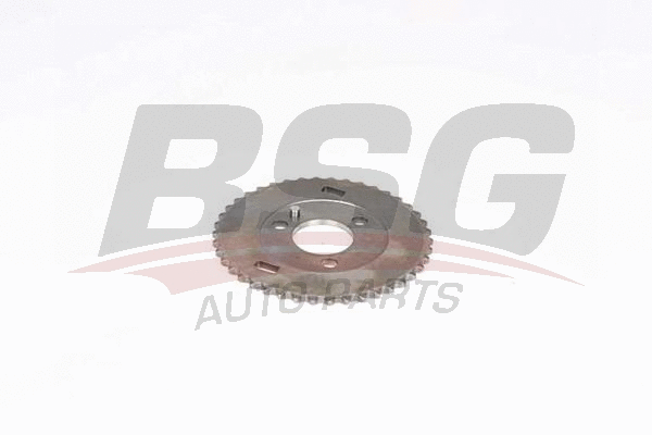 BSG 60-109-056 BSG Комплект цели привода распредвала (фото 1)