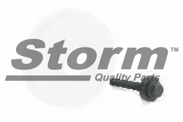 65090KIT Storm Ременный шкив, коленчатый вал (фото 1)