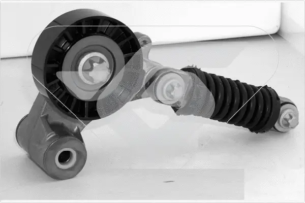 T4006 HUTCHINSON Натяжной ролик, поликлиновой ремень (фото 1)