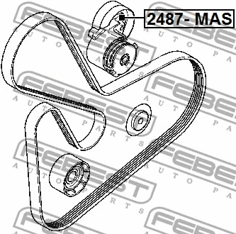 2487-MAS FEBEST Натяжной ролик, поликлиновой ремень (фото 2)