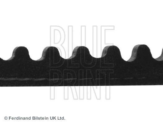AD12V1030 BLUE PRINT Клиновой ремень (фото 2)