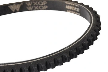 110161 WXQP Клиновой ремень (фото 2)