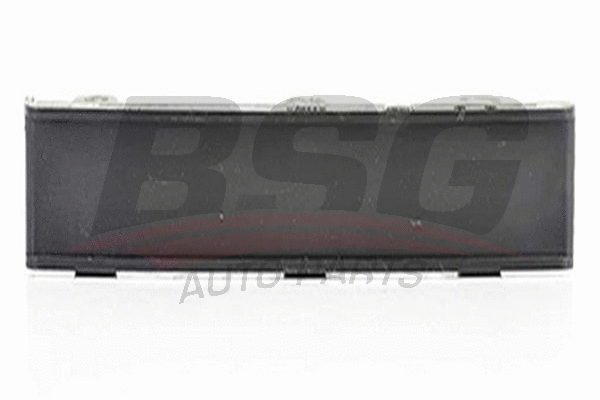 BSG 65-122-004 BSG Планка успокоителя, цепь привода (фото 1)