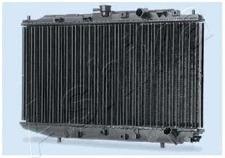 RDA192206 ASHIKA Радиатор, охлаждение двигателя (фото 1)