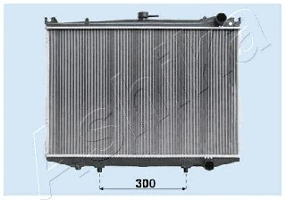 RDA213047 ASHIKA Радиатор, охлаждение двигателя (фото 1)