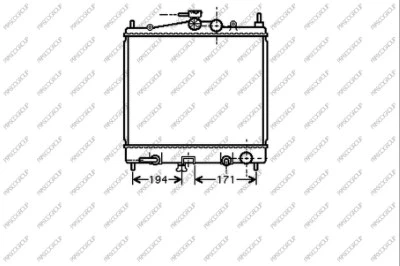 DS011R005 PRASCO Радиатор, охлаждение двигателя (фото 1)