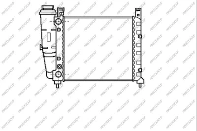 FT127R002 PRASCO Радиатор, охлаждение двигателя (фото 1)