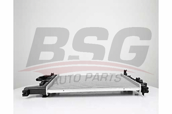 BSG 65-520-049 BSG Радиатор, охлаждение двигателя (фото 1)
