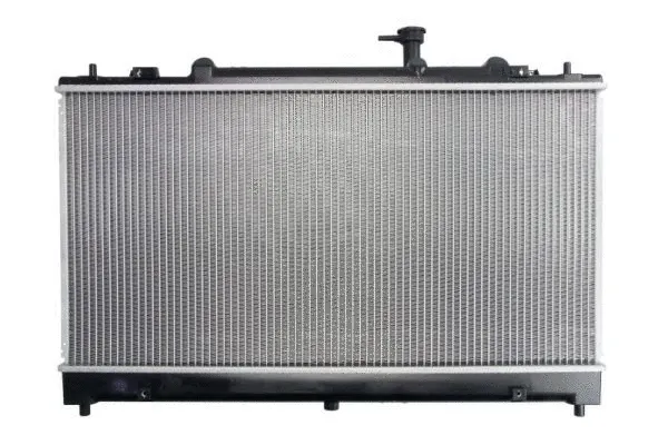 D73019TT THERMOTEC Радиатор, охлаждение двигателя (фото 1)