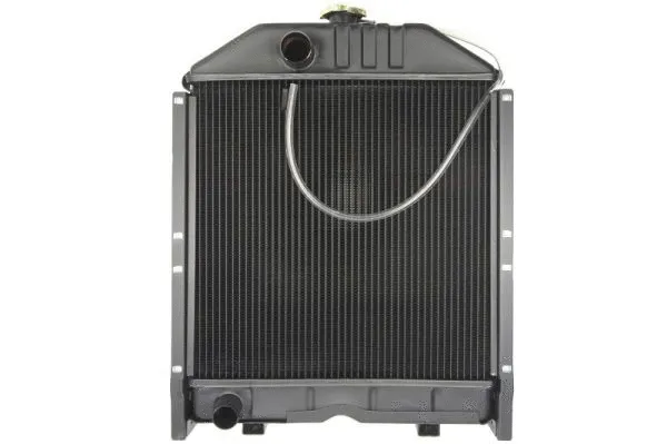 D7AG187TT THERMOTEC Радиатор, охлаждение двигателя (фото 1)