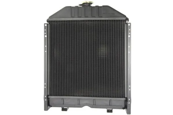 D7AG187TT THERMOTEC Радиатор, охлаждение двигателя (фото 2)
