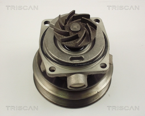 8600 10006 TRISCAN Водяной насос, охлаждение двигателя (фото 1)