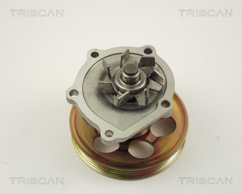 8600 13010 TRISCAN Водяной насос, охлаждение двигателя (фото 1)