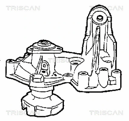 8600 15011 TRISCAN Водяной насос, охлаждение двигателя (фото 1)