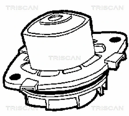 8600 15013 TRISCAN Водяной насос, охлаждение двигателя (фото 3)