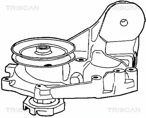 8600 15973 TRISCAN Водяной насос, охлаждение двигателя (фото 1)