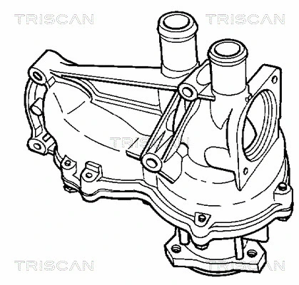 8600 29002 TRISCAN Водяной насос, охлаждение двигателя (фото 2)