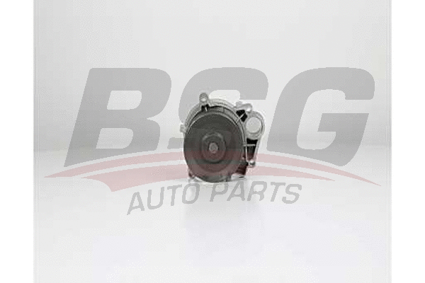 BSG 15-500-009 BSG Водяной насос, охлаждение двигателя (фото 1)