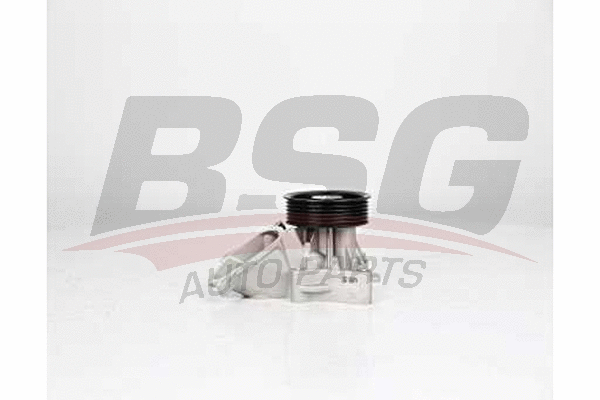 BSG 15-500-014 BSG Водяной насос, охлаждение двигателя (фото 1)