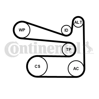 6PK1693WP1 CONTINENTAL CTAM Водяной насос + комплект ручейковых ремней (фото 2)