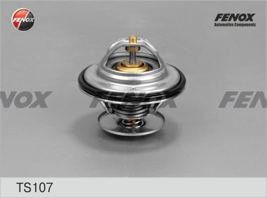 TS107 FENOX Термостат, охлаждающая жидкость (фото 1)