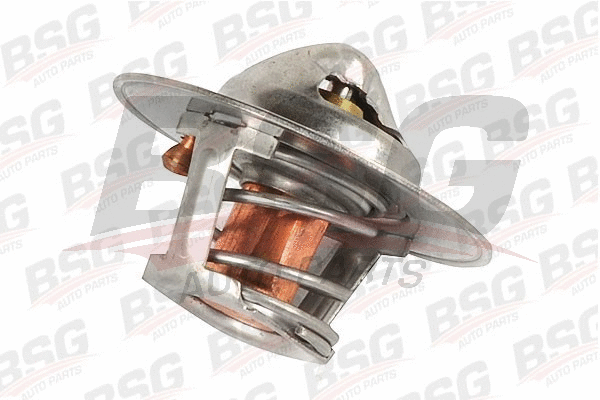 BSG 30-125-014 BSG Термостат, охлаждающая жидкость (фото 1)