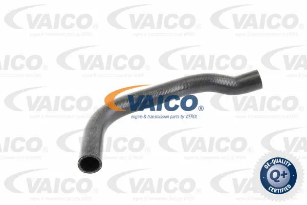 V10-0056 VAICO Шланг радиатора (фото 1)