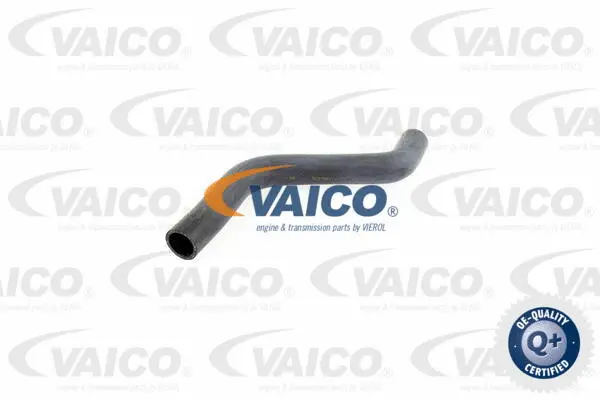 V10-0060 VAICO Шланг радиатора (фото 1)