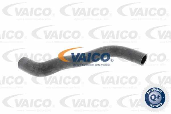 V10-0361 VAICO Шланг радиатора (фото 1)