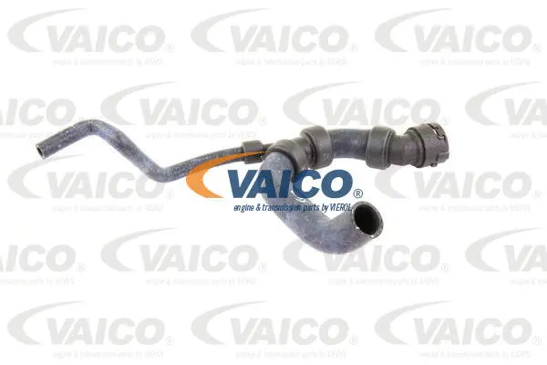 V10-3195 VAICO Шланг радиатора (фото 1)