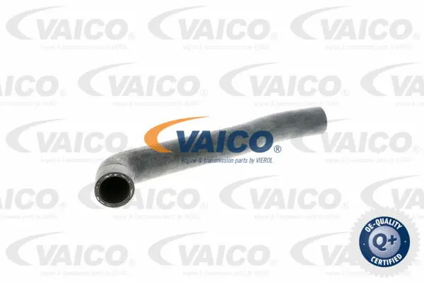 V10-3201 VAICO Шланг радиатора (фото 1)