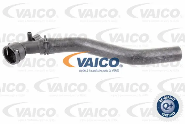 V10-3205 VAICO Шланг радиатора (фото 1)