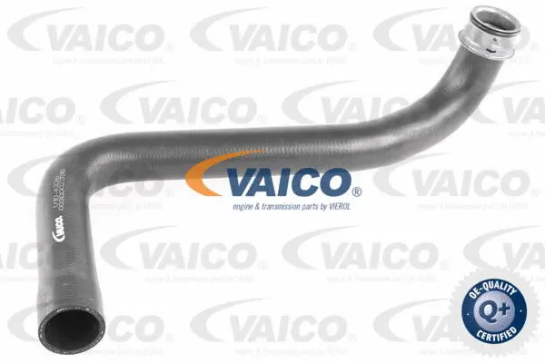V10-4336 VAICO Шланг радиатора (фото 1)