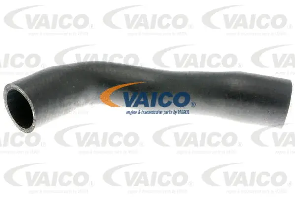 V10-4805 VAICO Шланг радиатора (фото 1)