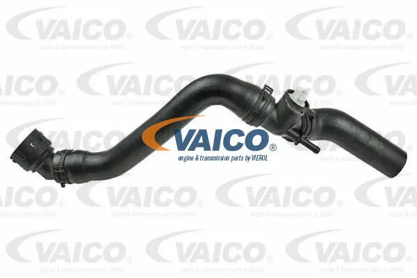 V10-5525 VAICO Шланг радиатора (фото 1)