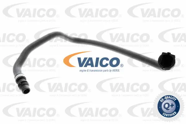 V20-0891 VAICO Шланг радиатора (фото 1)