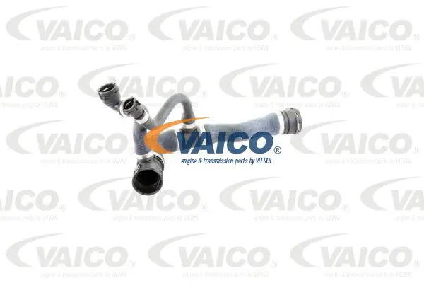 V20-1283 VAICO Шланг радиатора (фото 1)