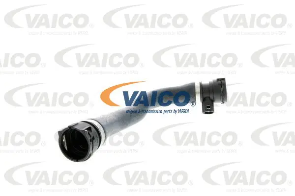 V20-1302 VAICO Шланг радиатора (фото 1)